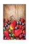 Conceptum Alfombra Multicolor 80 x 120 cm